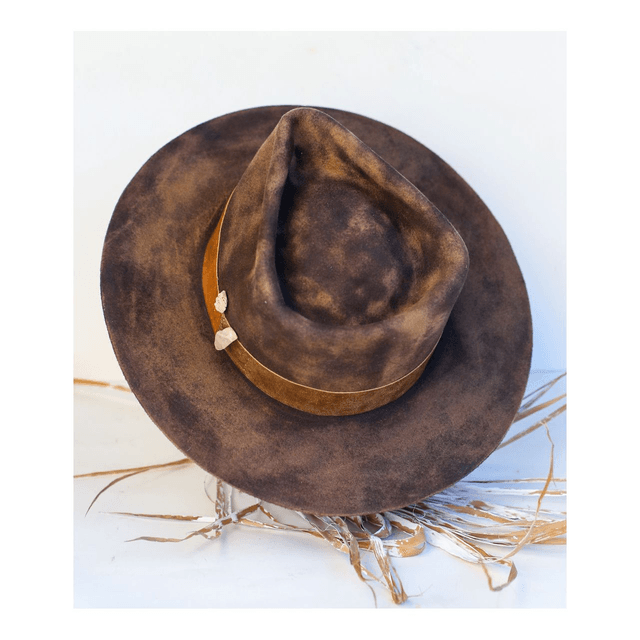 VENOM Collection - POUDRE