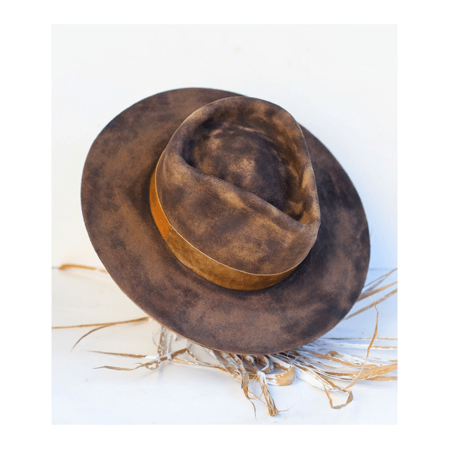 VENOM Collection - POUDRE
