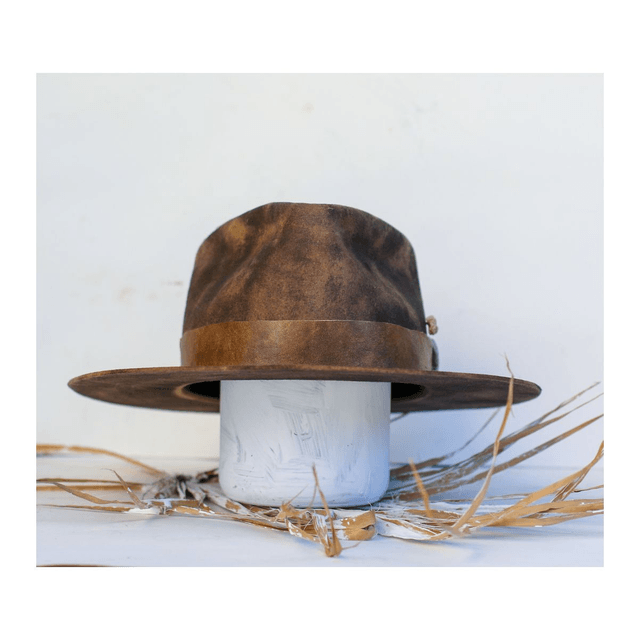 VENOM Collection - POUDRE
